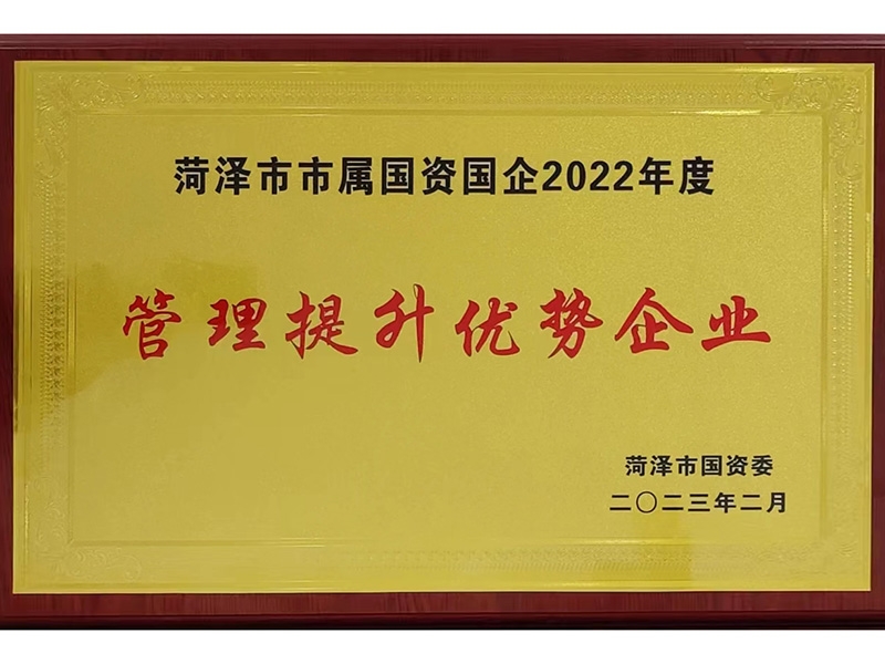 管理提升優(yōu)勢(shì)企業(yè)